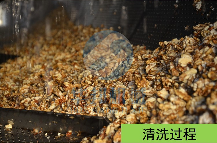 山東核桃仁去皮機(jī)