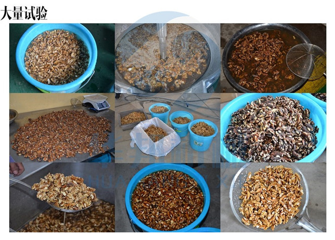 小型核桃仁去皮機