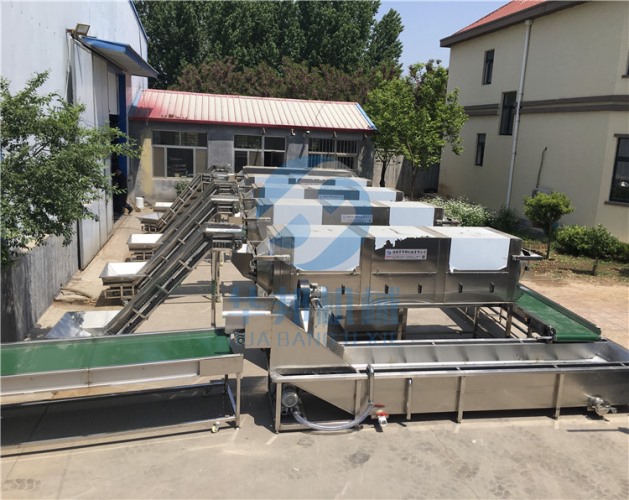 立式核桃仁脫皮機 質(zhì)保一年