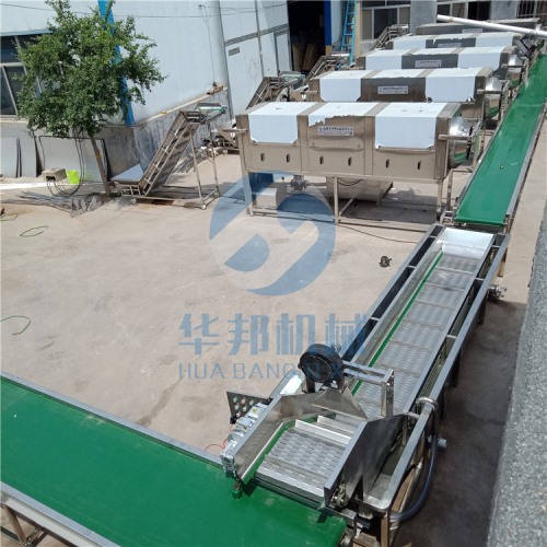 廠房需求定制的大型核桃仁去皮流水線 核桃仁去皮機(jī)