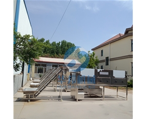 核桃仁去皮機 廠家直銷