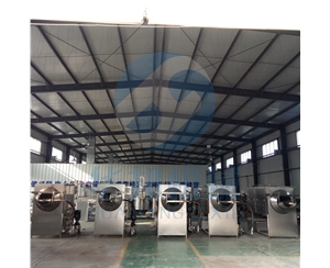 全自動 核桃仁去皮機