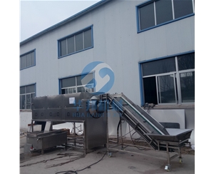 核桃仁去衣機(jī)