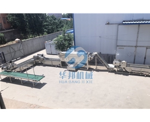 不同品種進行去皮  華邦機械核桃仁去衣機