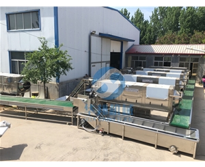 核桃仁去皮流水線(xiàn) 日產(chǎn)1-10噸 支持定制