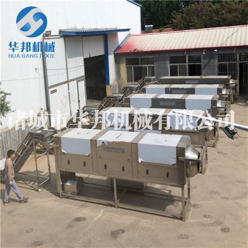 日產(chǎn)上噸核桃仁去皮流水線 連續(xù)式進行核桃仁去皮機