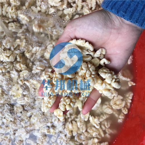 2020核桃仁脫衣機