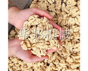 核桃仁脫皮機(jī) 華邦機(jī)械全自動(dòng)核桃仁去衣流水線(xiàn)