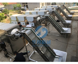 華邦核桃仁去皮設(shè)備 0添加核桃仁去皮機(jī) 去皮率高達(dá)98%