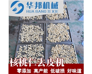核桃仁脫皮機 自來水去皮 核桃仁去皮機供應(yīng)商