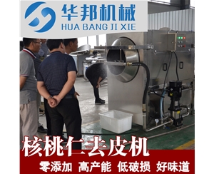 華邦報價 大型核桃仁去皮機多少錢