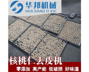 核桃仁去皮機  純水0添加快速去皮