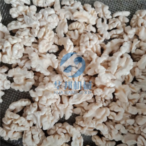 自動化生產(chǎn)核桃仁去皮機