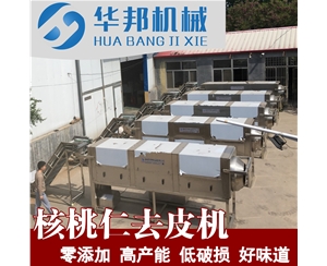 核桃仁深加工去皮流水線(xiàn)