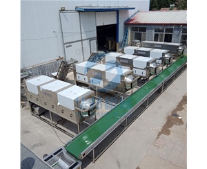 華邦核桃仁脫衣去皮機(jī) 損仁低 價值高