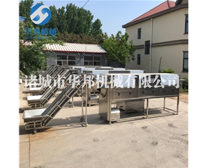 純物理核桃仁去皮機 全自動核桃仁去皮生產線