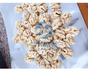 免費試機核桃仁去皮機