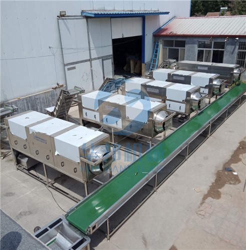 核桃仁脫衣機(jī) 機(jī)械化核桃仁去皮機(jī)