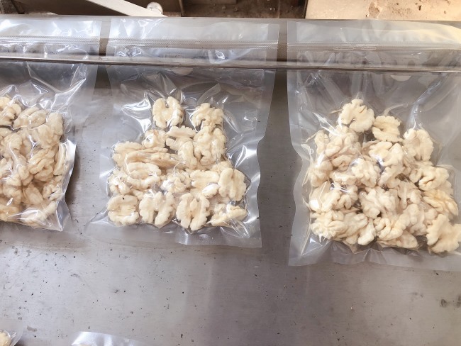 壓力可調(diào)清水核桃仁脫皮機 核桃仁去皮設(shè)備