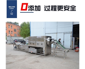 核桃仁去皮機組成流水線的設(shè)備