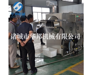 核桃仁打濕去皮 核桃仁去皮機 去衣設(shè)備廠