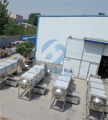 專車直達(dá)核桃仁去皮機 物理去衣設(shè)備