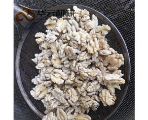 華邦直銷物理脫皮機(jī) 新式核桃仁去皮機(jī)