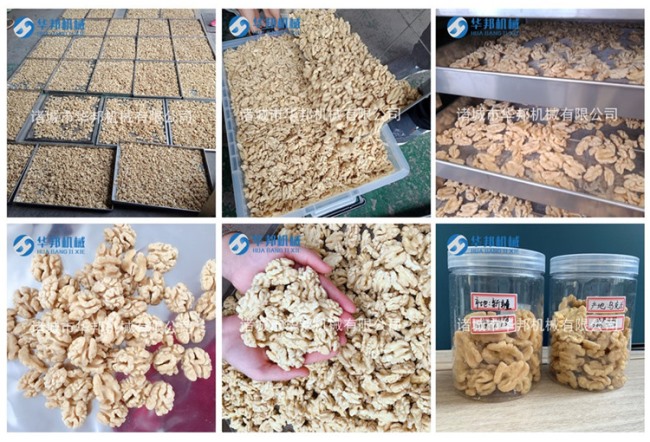 高效率去皮機(jī) 華邦核桃仁脫皮機(jī)