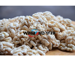 全國送貨 核桃仁去皮機(jī) 2021升級(jí)核桃仁脫皮機(jī)