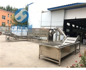 核桃仁去皮機 核桃仁去皮生產(chǎn)線