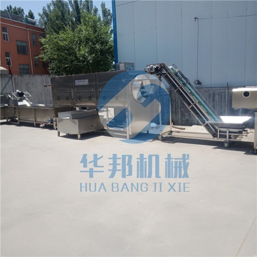 核桃仁去皮機 核桃仁脫衣流水線