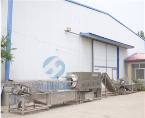 【省人工】核桃仁去皮機 核桃仁去皮流水線