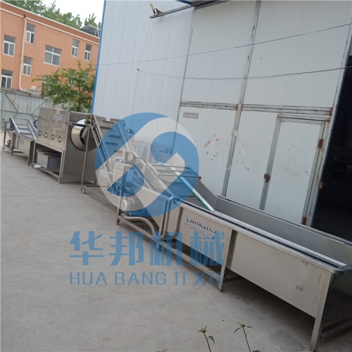 核桃仁脫衣生產(chǎn)線 核桃仁去皮機設備