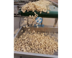 【全自動(dòng)】核桃仁去皮機(jī) 核桃仁去衣機(jī)