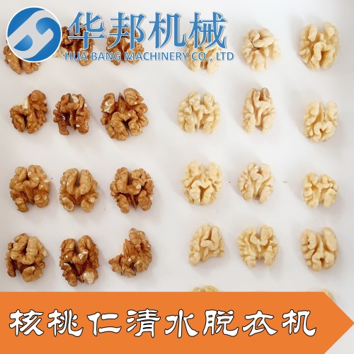【華邦】去皮核桃仁設(shè)備 核桃仁去皮機(jī) 規(guī)格齊全 免費(fèi)試機(jī)