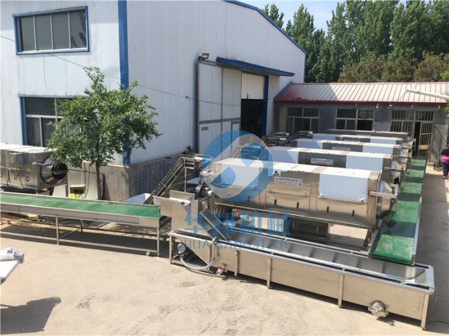 大型核桃仁去皮機(jī) 全自動(dòng)核桃仁脫衣機(jī)