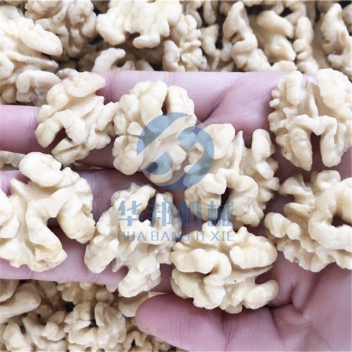 全自動核桃仁加工流水線