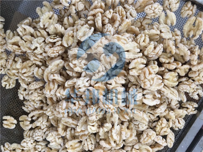 無堿添加核桃仁脫皮機(jī) 華邦機(jī)械脫皮核桃仁加工機(jī)