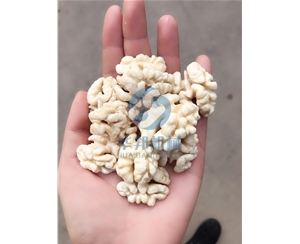 核桃仁去皮機 視頻