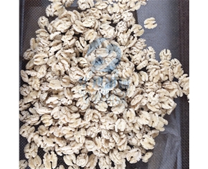 核桃仁去皮機(jī)