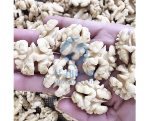 專利產(chǎn)品 核桃仁去皮機(jī)