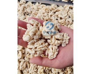 核桃仁去皮機 提供去皮工藝