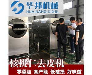省人工核桃仁去皮機 皮仁自動分離