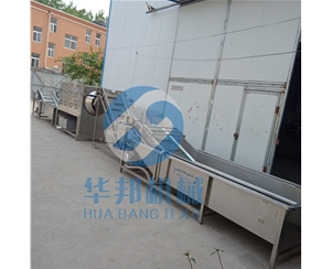 核桃仁脫衣生產(chǎn)線(xiàn) 核桃仁去皮機(jī)