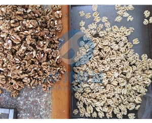 多規(guī)格核桃仁去皮機 純物理去皮機