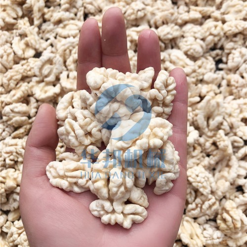 核桃仁去皮機 去皮率高達(dá)98%