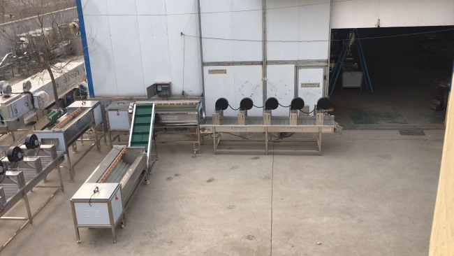 紅薯清洗機(jī) 洗紅薯機(jī)