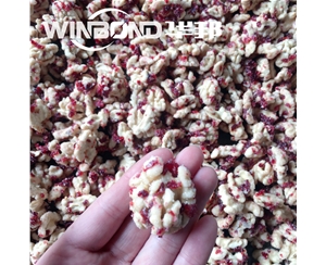 蔓越莓核桃仁加工設備 華邦核桃仁去皮 去皮機