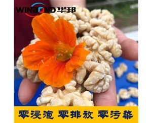 核桃仁去皮機(jī)廠家  華邦2020報價