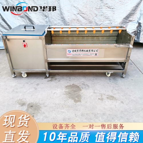 華邦生產(chǎn)胡蘿卜清洗機 蘿卜清洗設(shè)備型號齊全 十年品質(zhì)